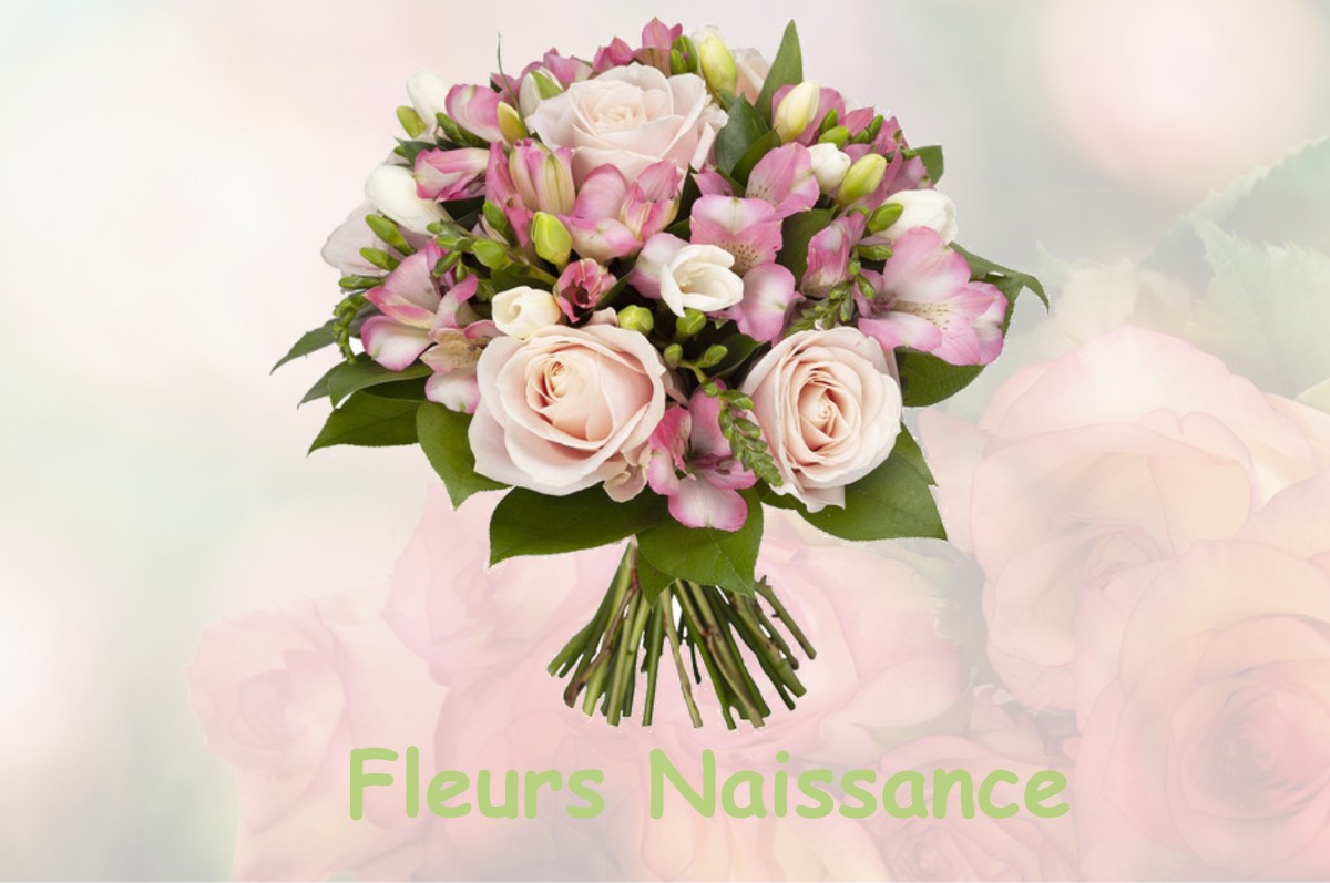 fleurs naissance BLANZY-LA-SALONNAISE